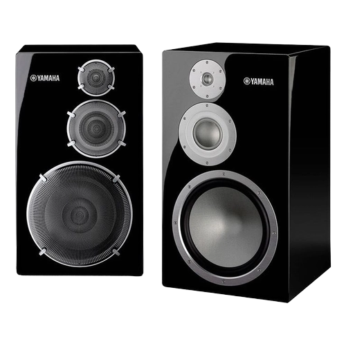 NS-5000